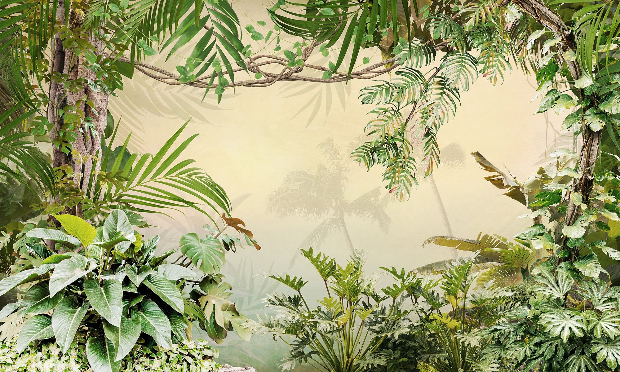 rainforest background
